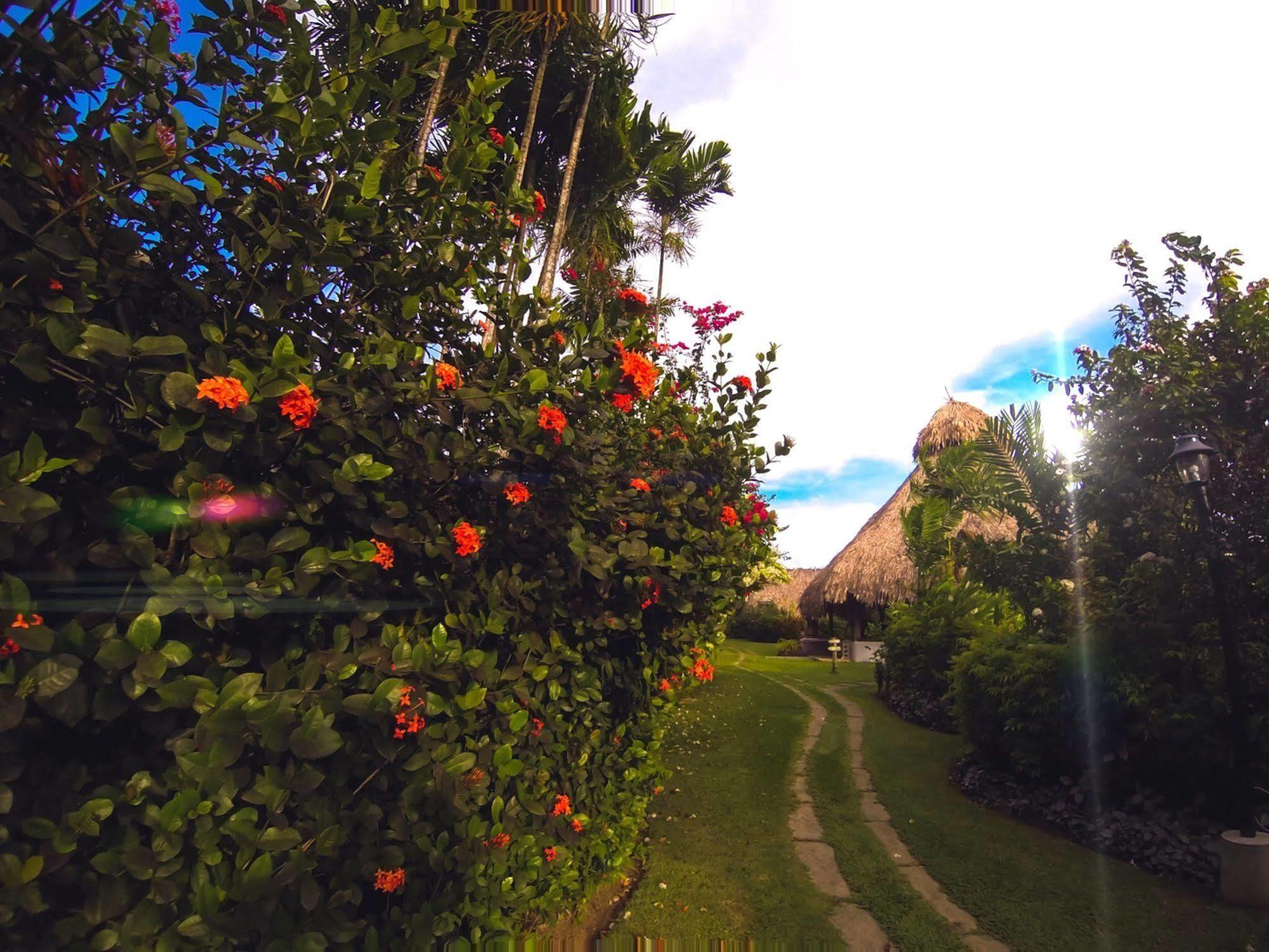 Kariwak Village Holistic Haven Crown Point Exterior foto